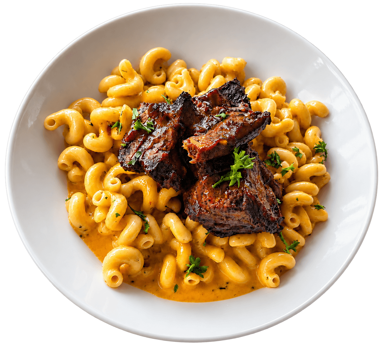 Jazzy's Choice macaroni and cheese with beef short ribs